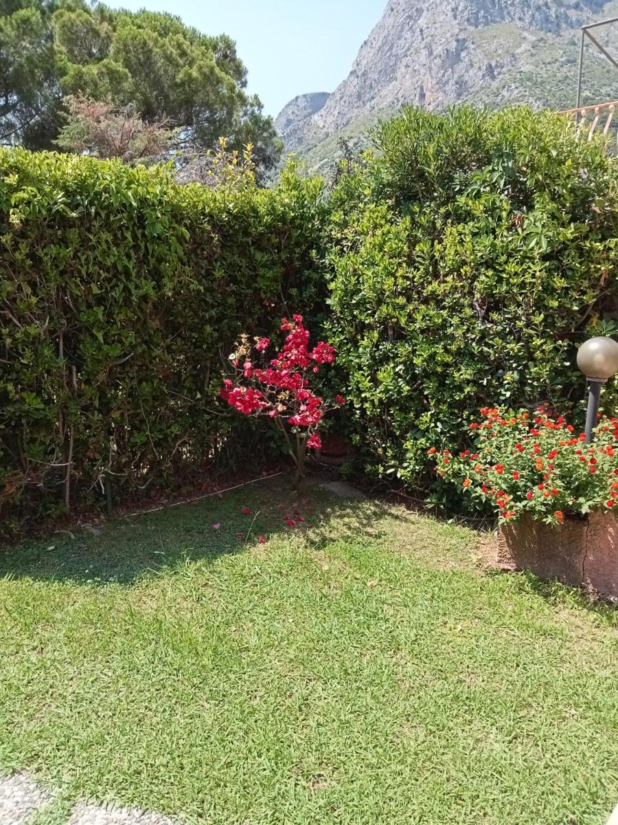 La Petite Maison - Housity