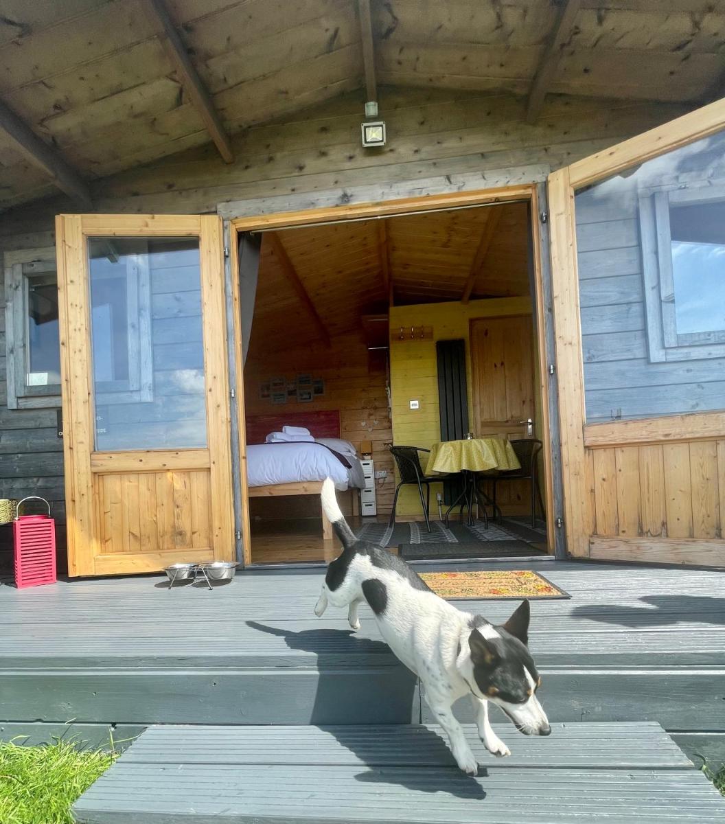 Willow Glamping Hut with HOT TUB, Ensuite, BBQ, Firepit, Views, Fenced Garden, Dog Friendly, Alpacas on site on Anglesey, North Wales - Housity