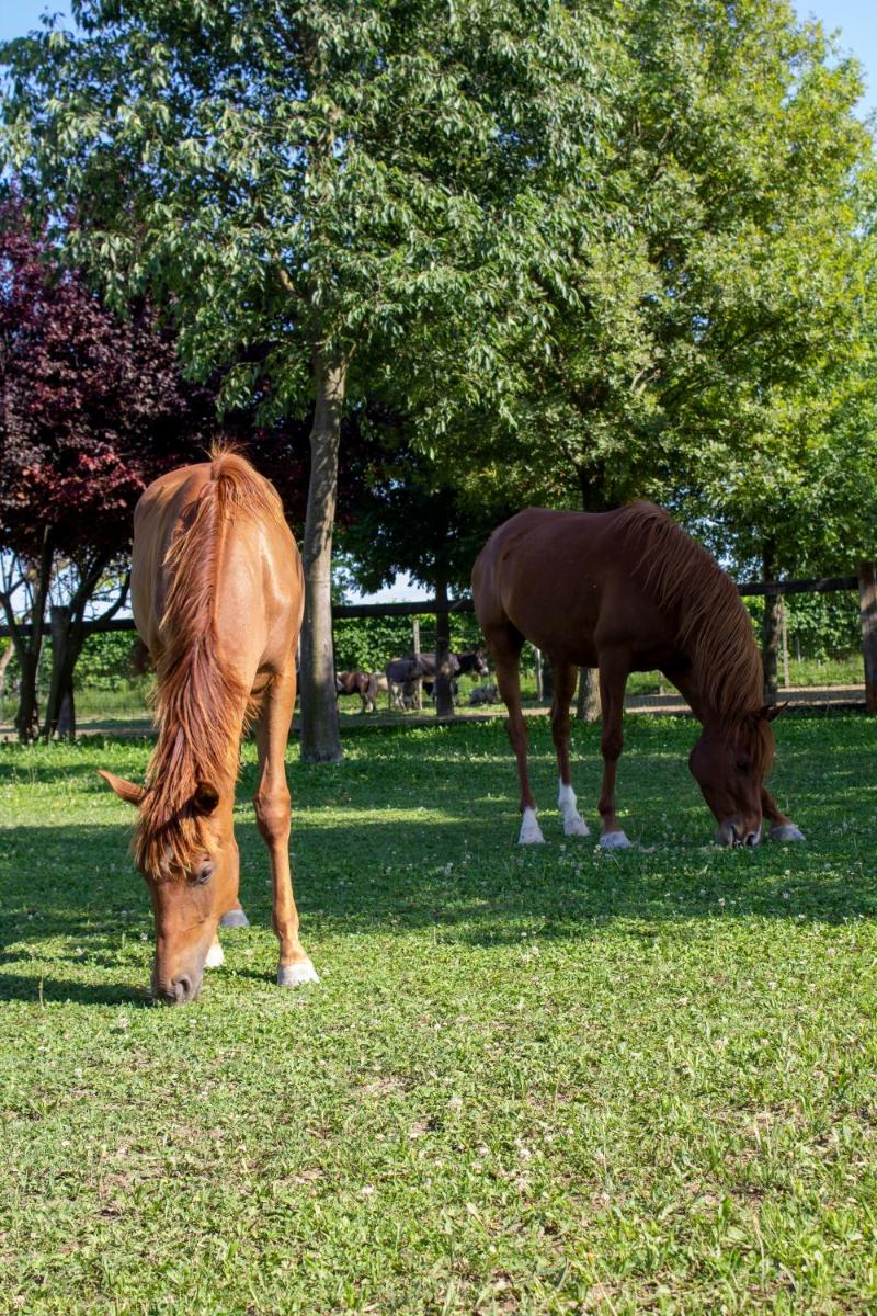 Ranch borgo bella vita - Housity