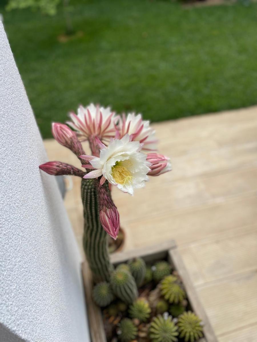 Suitetrails - Florestahaus
