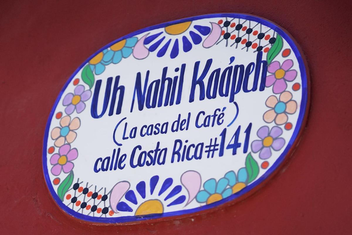 Suitetrails - La Casa del Café
