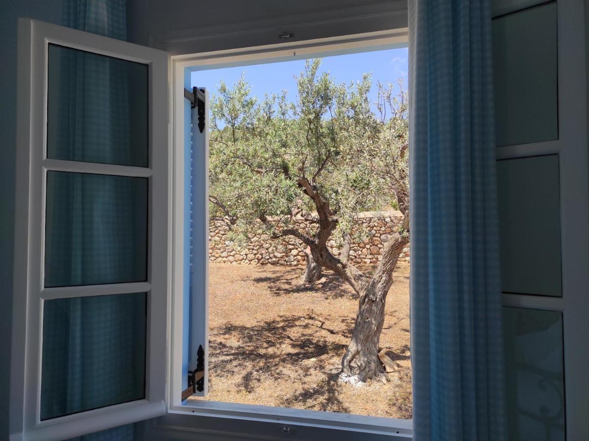 KIOUSIS ESTATE - Housity