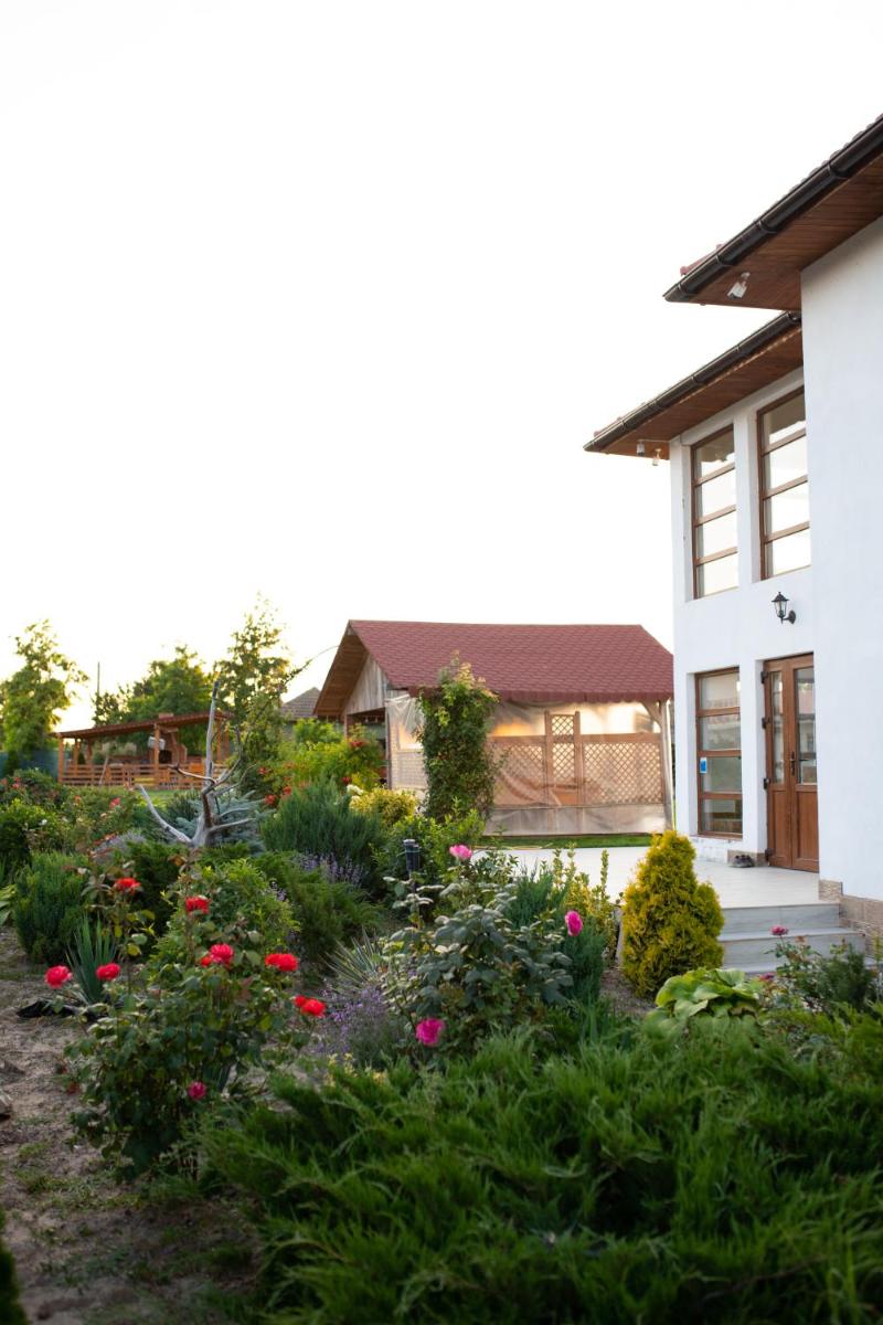 Pensiunea Paradiso - Housity