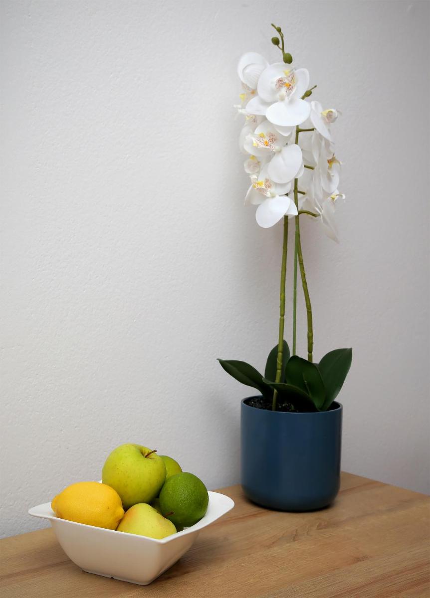 Apartmani Krmek - Housity
