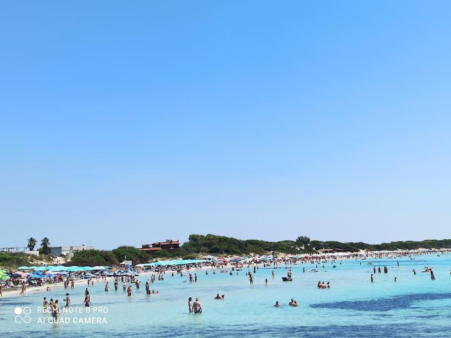 Villa Le Cicale - Housity
