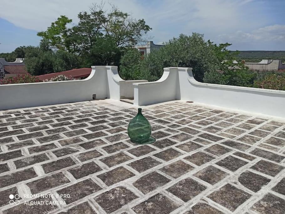 Villa Le Cicale - Housity
