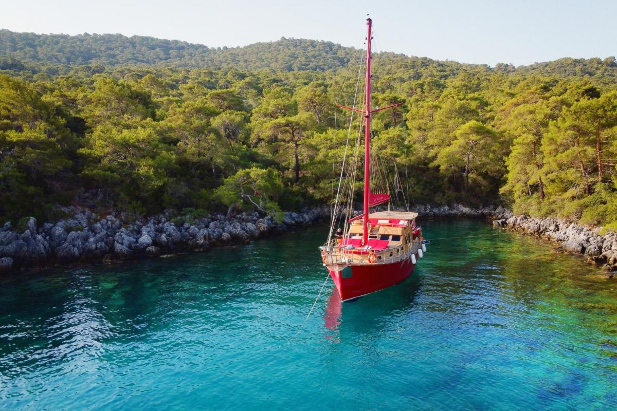 Blue Voyage Yacht Charter - Housity