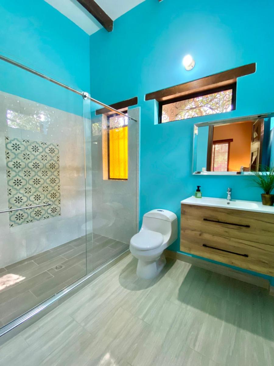Casa Colonial San Alejo - Housity