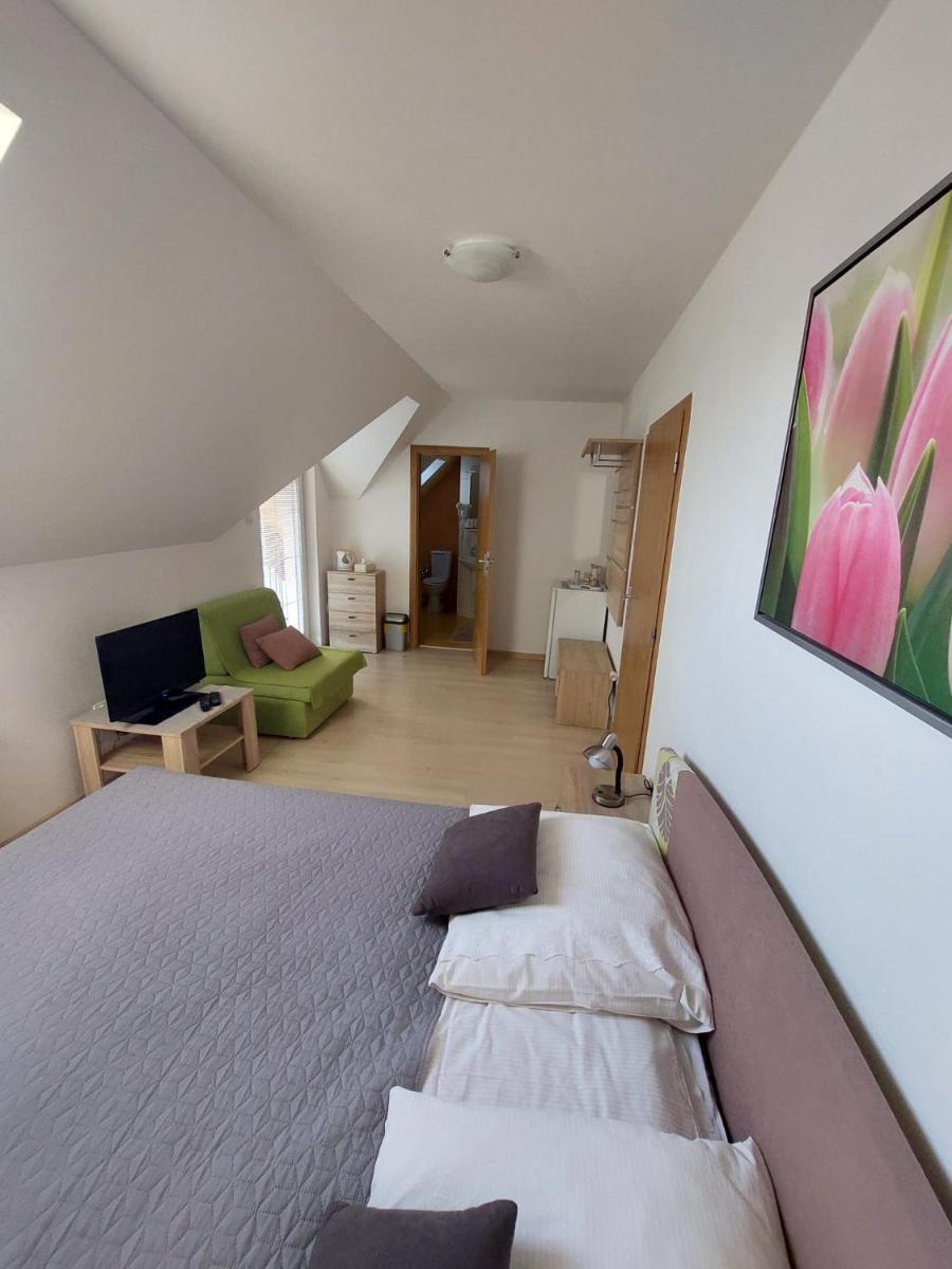 Penzión Skalná ruža - Kövirózsa panzió - Housity