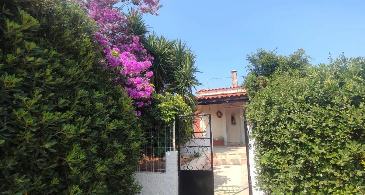 Olive Grove Cottage Skalani - Housity