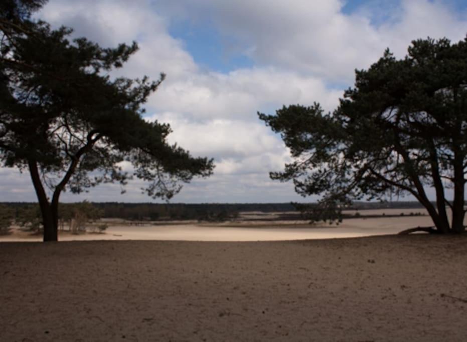 Natuurhuisje Oisterwijk - Housity