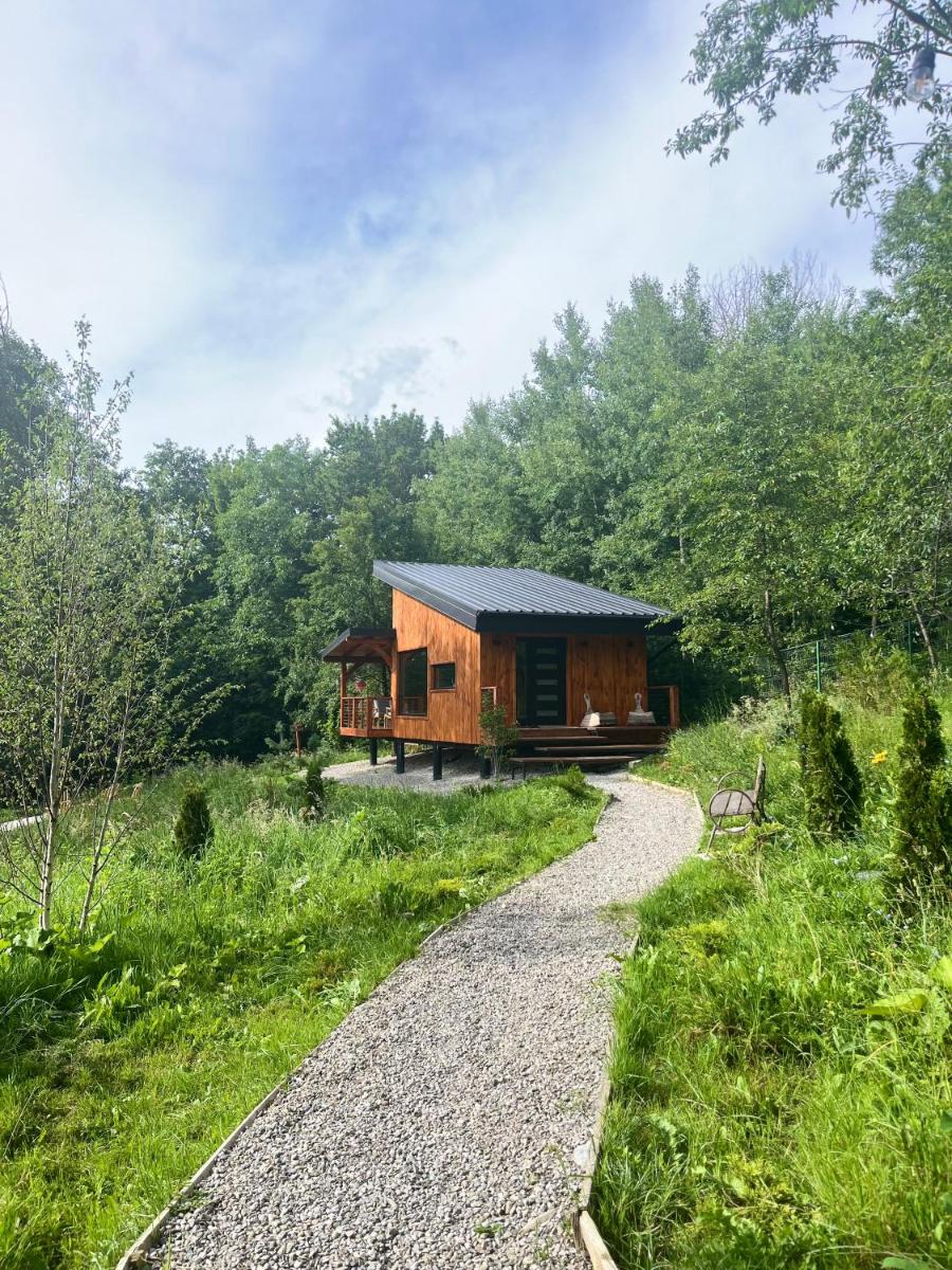 MoodySun Studio, remote tiny home - Housity