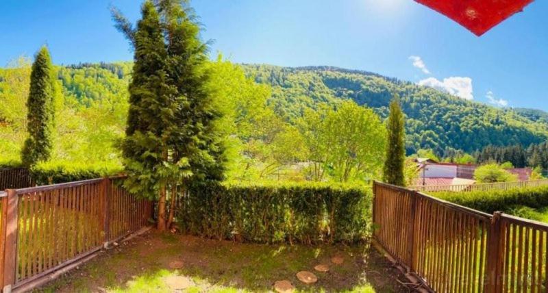 Belleview Garden Studio - Housity