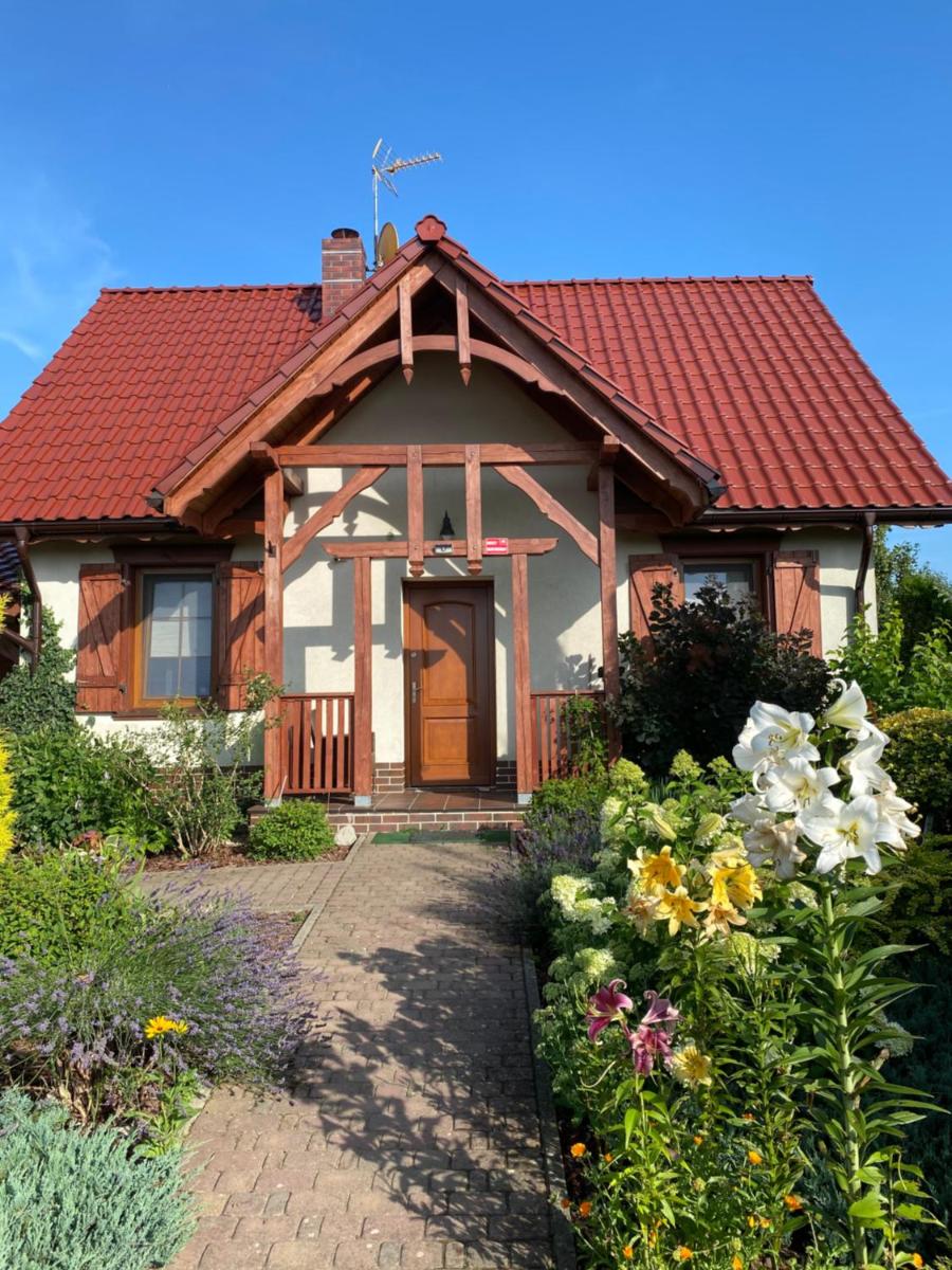 Ignacówka - Housity