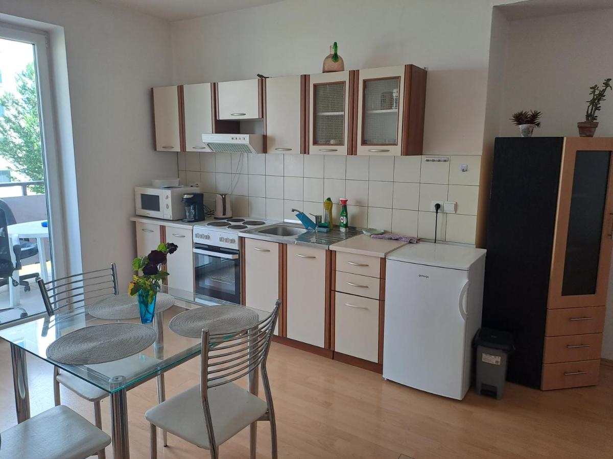 Peškova, byt o 2 pokojích s terasou - Housity