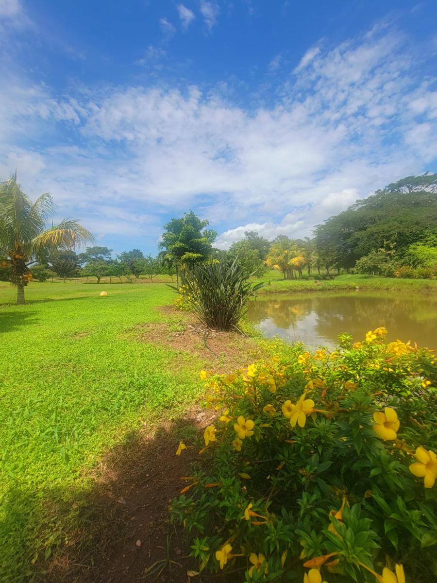 Dexamano Hotel &amp; Resort - Housity