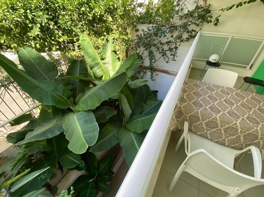 Orion Apartment - Housity
