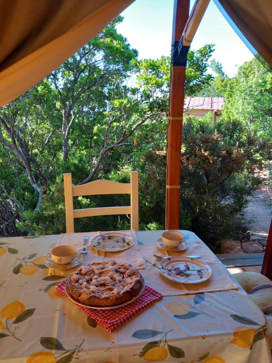 Glamping tent nel Supramonte - Housity