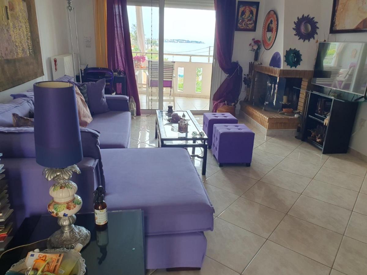 Evi - Housity