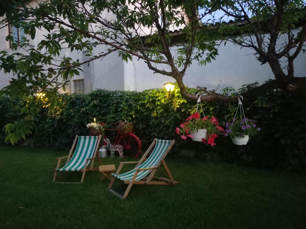 Oskar apartman Negotin - Housity