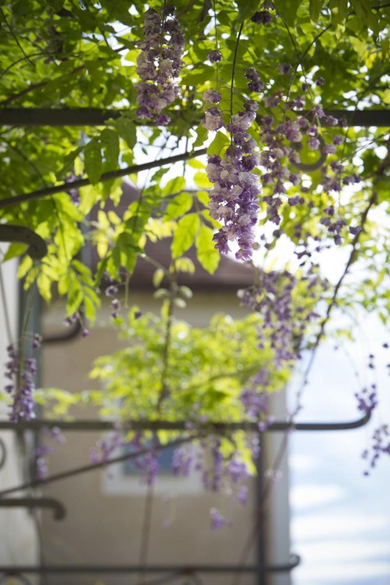 Jardin de l'établissement Hôtel-Spa Le Saint Cirq