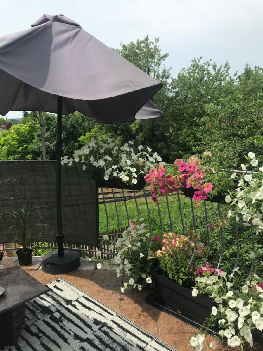 Apartament Mickiewicza - Housity