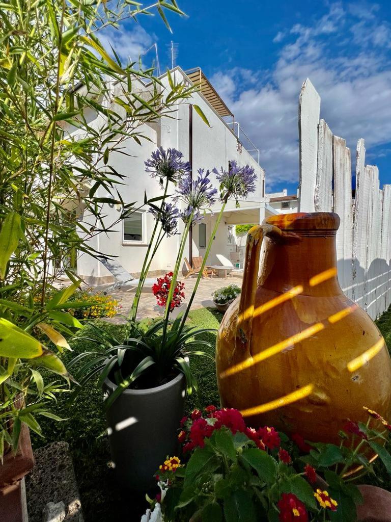CASA MILA White - Housity