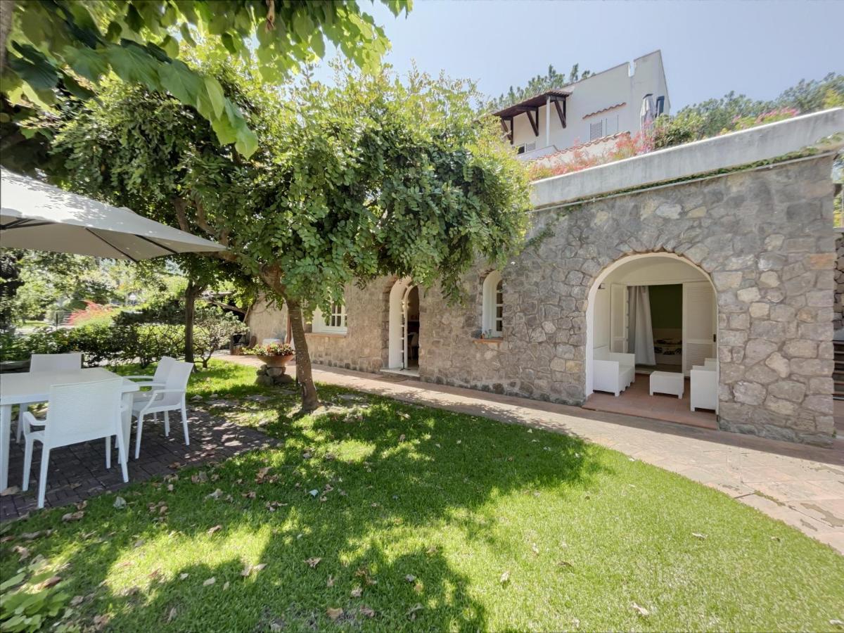 Villa Cycas - Housity
