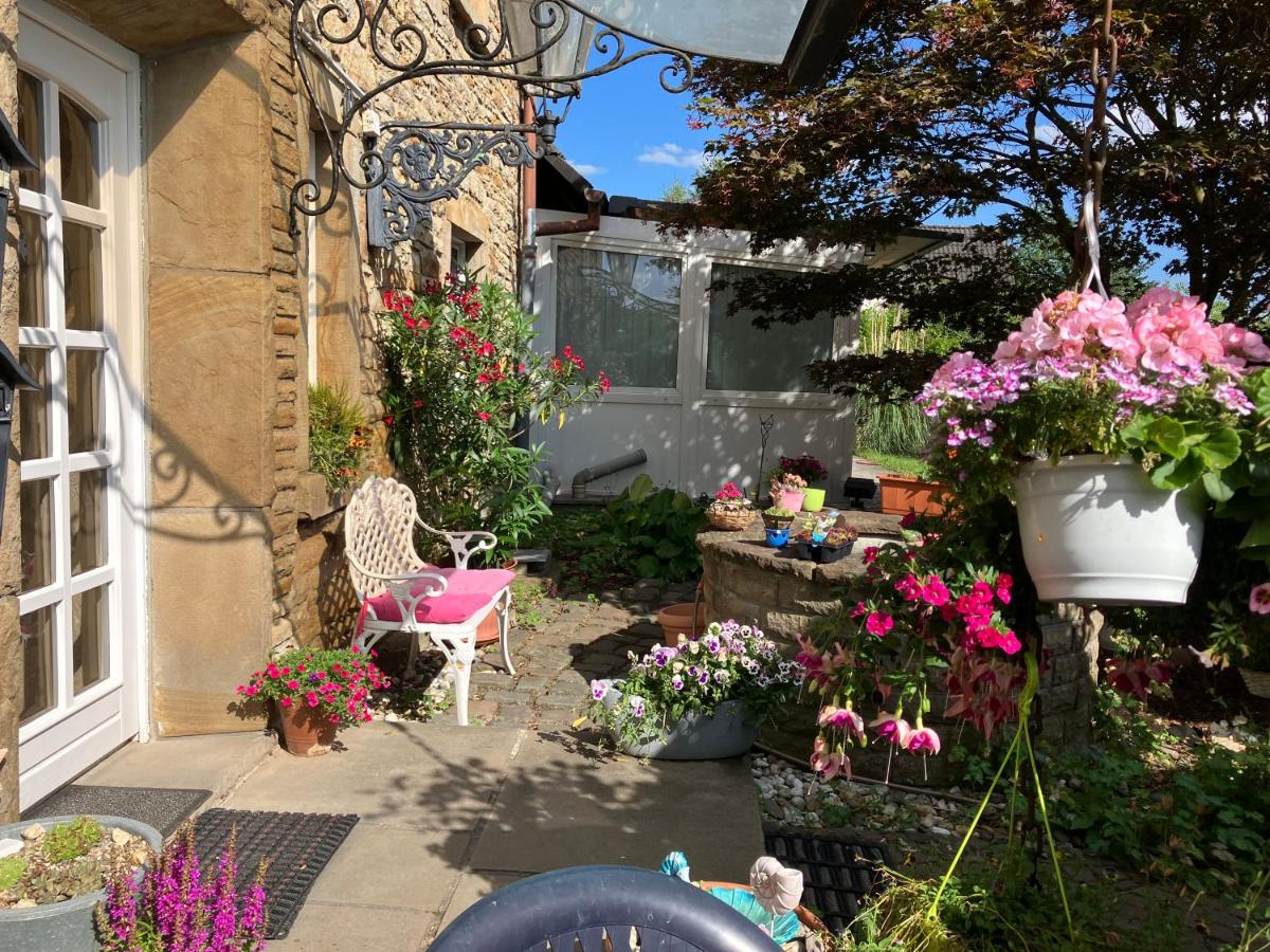 Suitetrails - Ferienwohnung im Grünen mit Terrasse EG