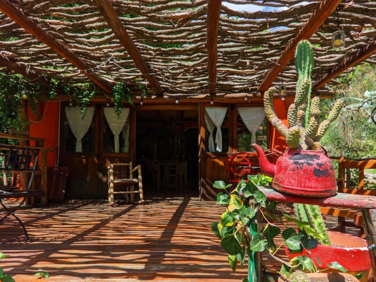 Cabañas spa el petrel - Housity