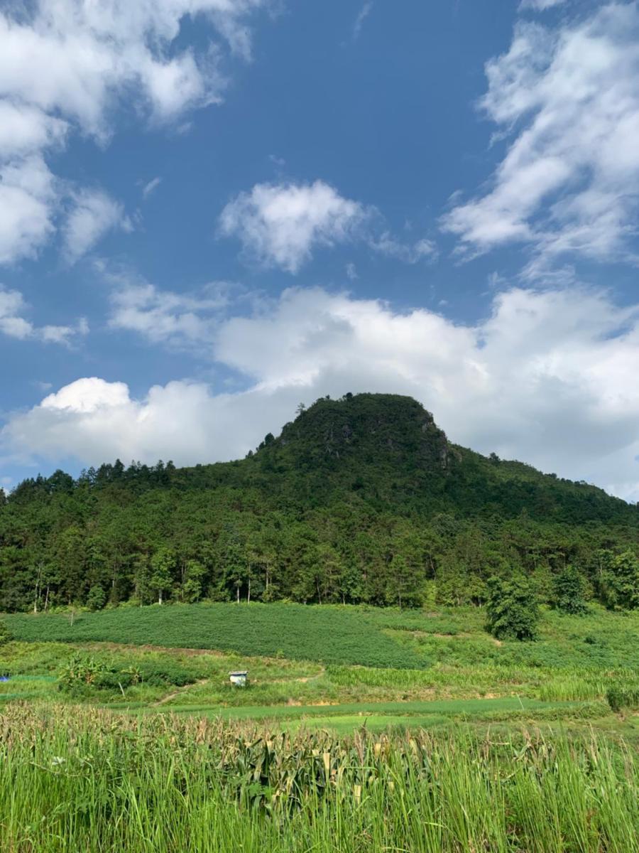 Hoàng homestay - Housity