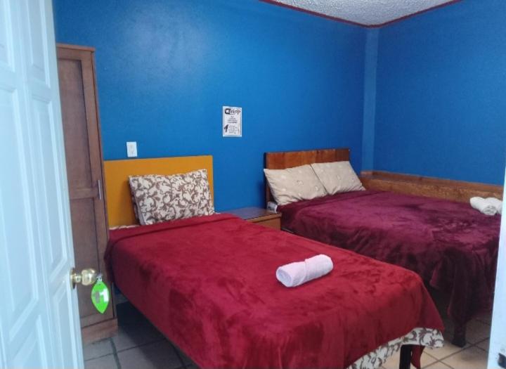 Hotel Eucaliptos De Mauro - Housity