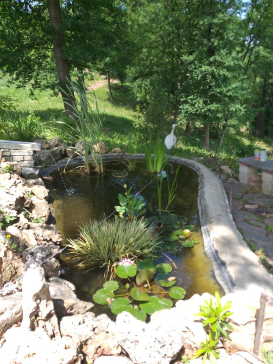 B&B La Bianchina - Housity