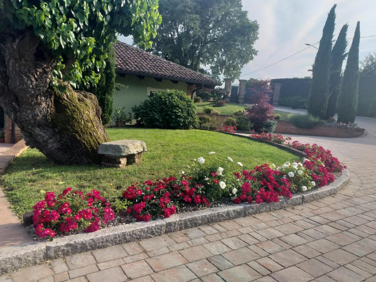 B&B La Bianchina - Housity