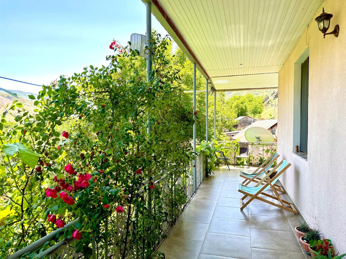 Guesthouse Mtkvari - Housity