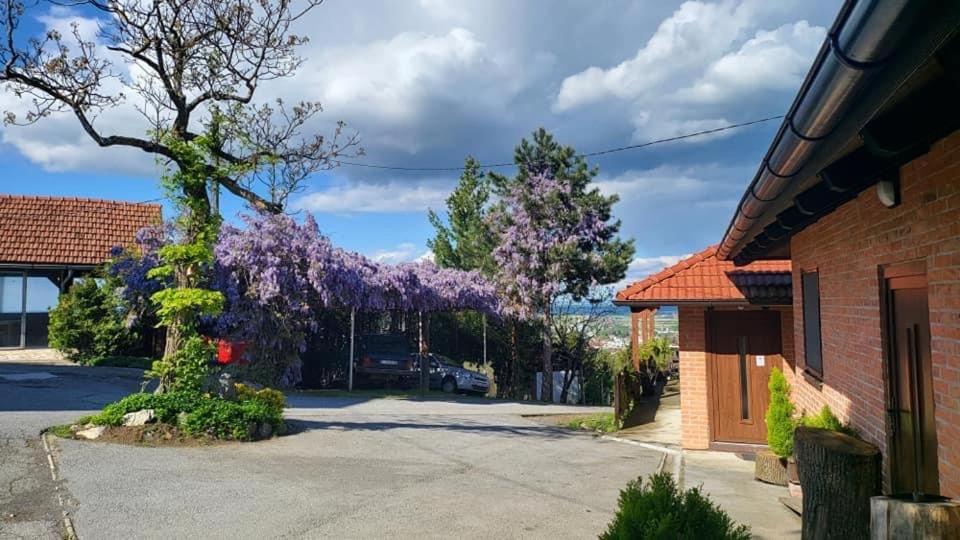 Suitetrails - Villa Repić