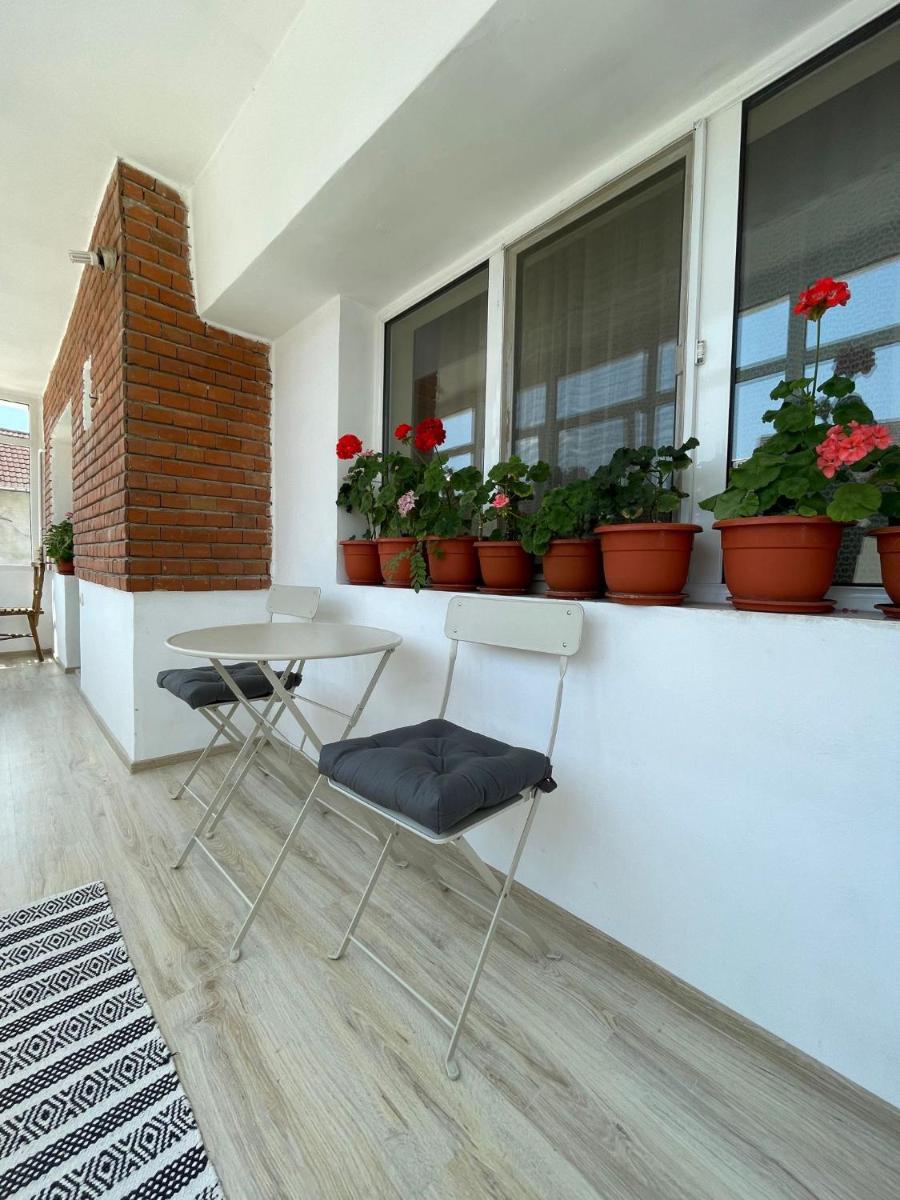 Apartament Daniela Calimanesti - Housity