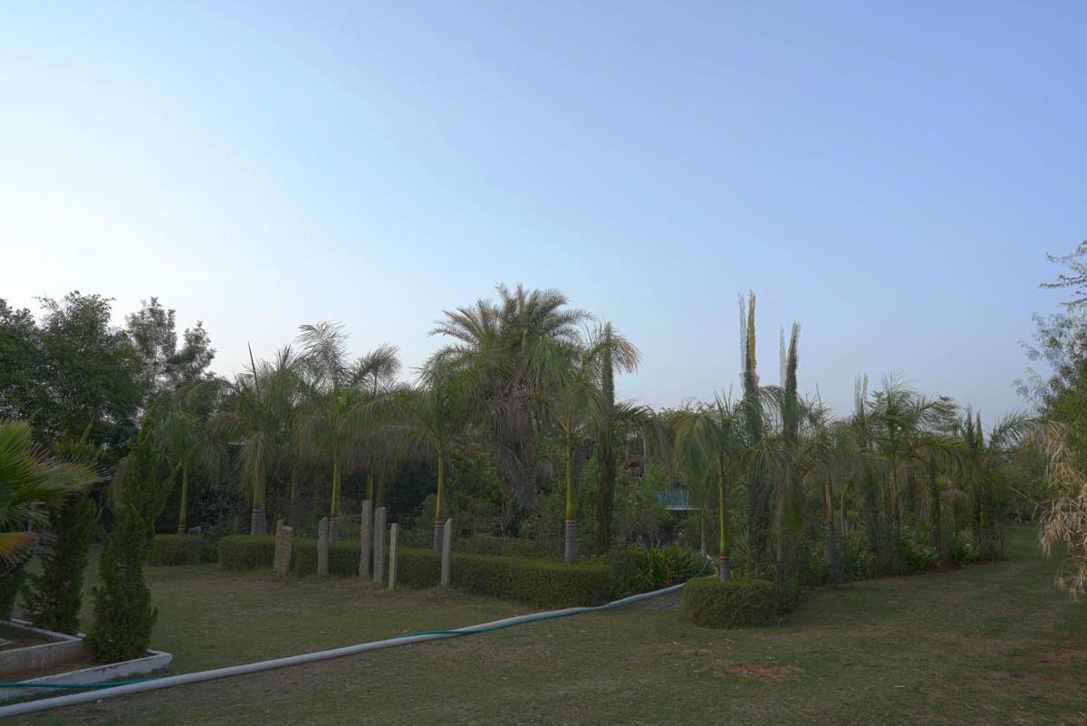 Green Woods Farm House - Housity