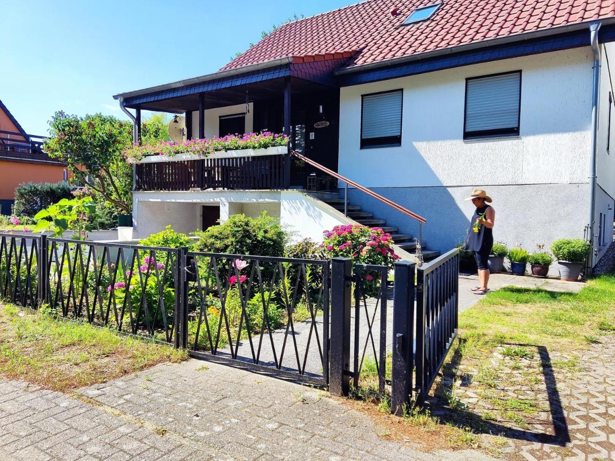 Waldhus - Housity
