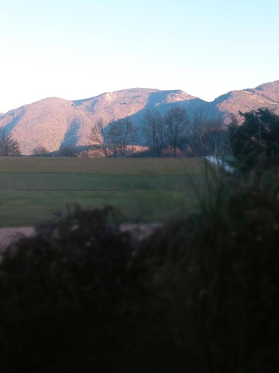 Paisaje cerca de este hotel