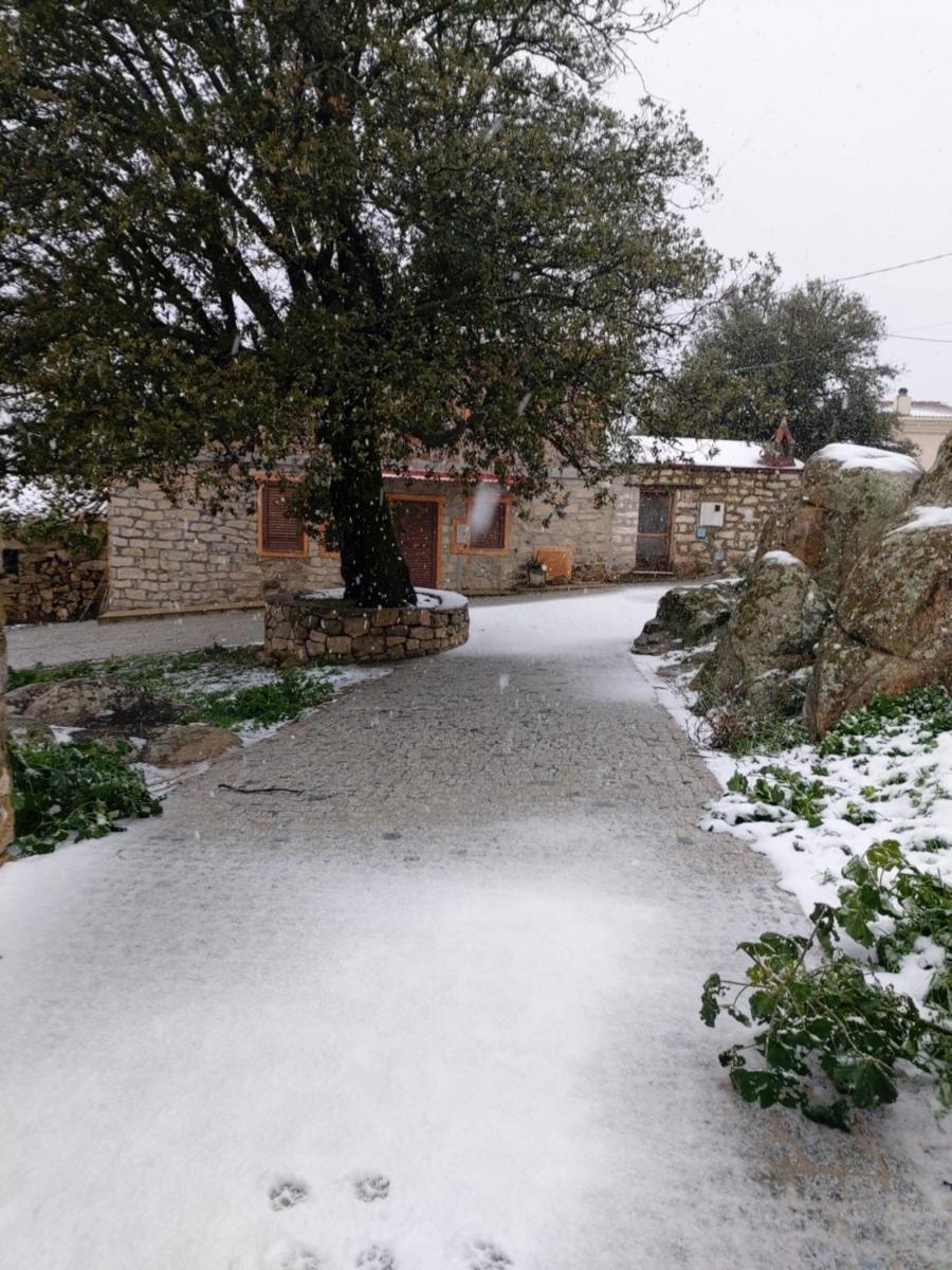 La Dimora degli Dei - Housity