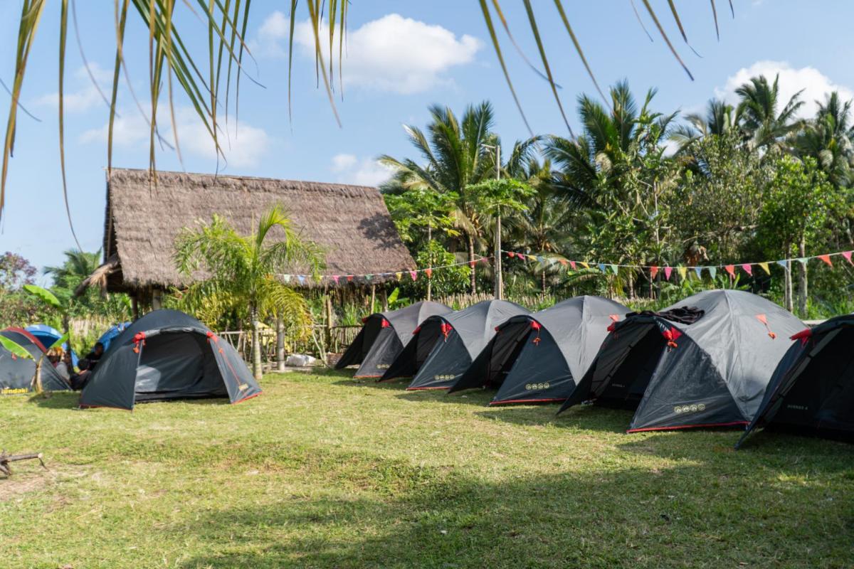 Aranka Tempasan - Housity