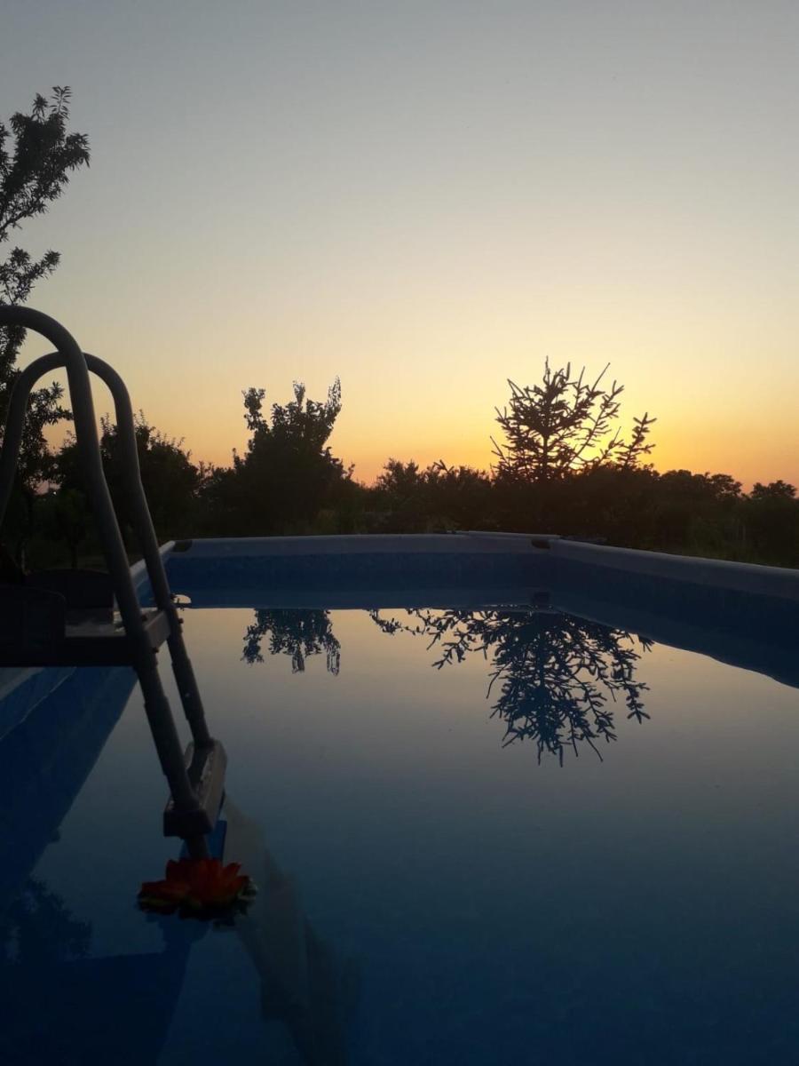 Gugi House - Housity