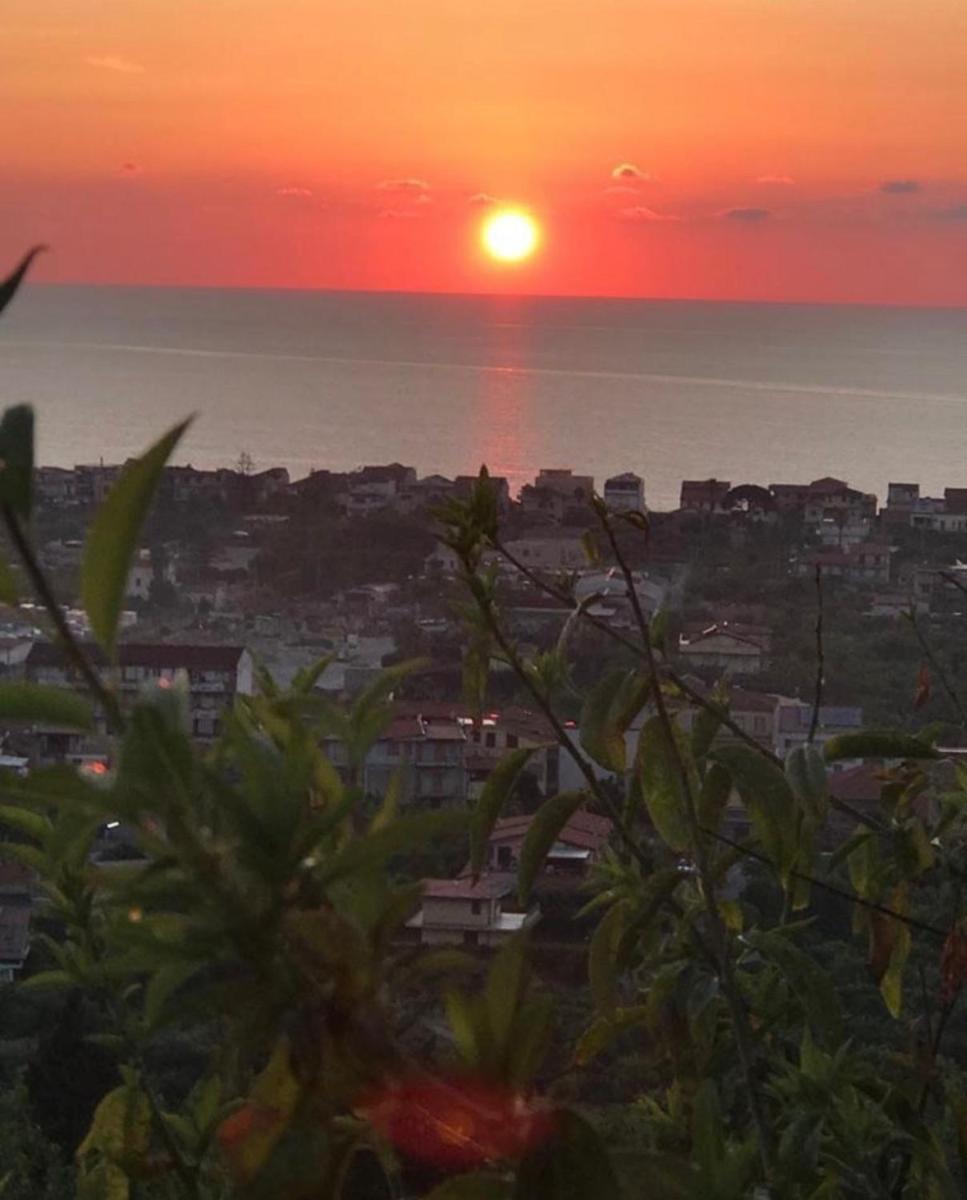 Dal barone - Housity