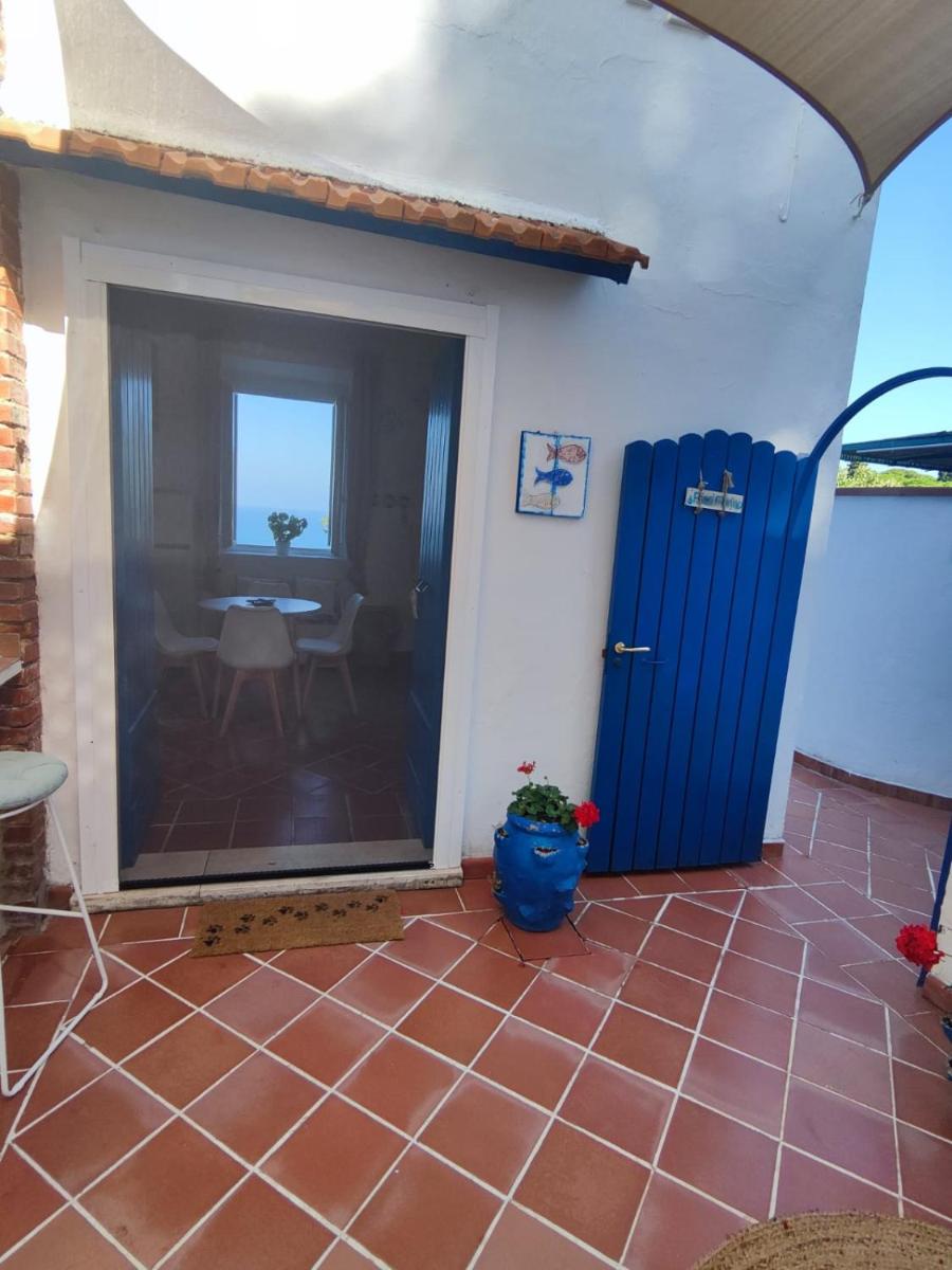 Pino Marino - Housity