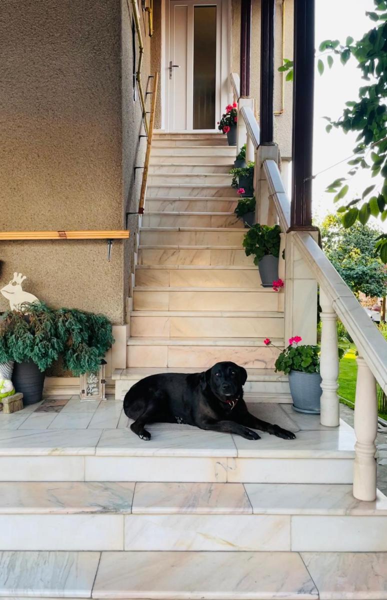 Pensiunea Roșu - Housity