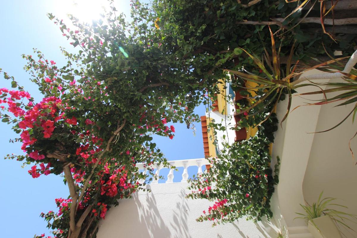 Altura Beach Townhouse - Housity