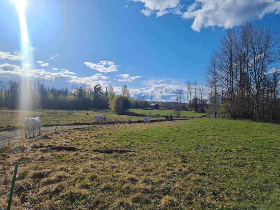 Unikt boende på Hälsingegård i levande landsbygd med djur inpå knuten - Housity