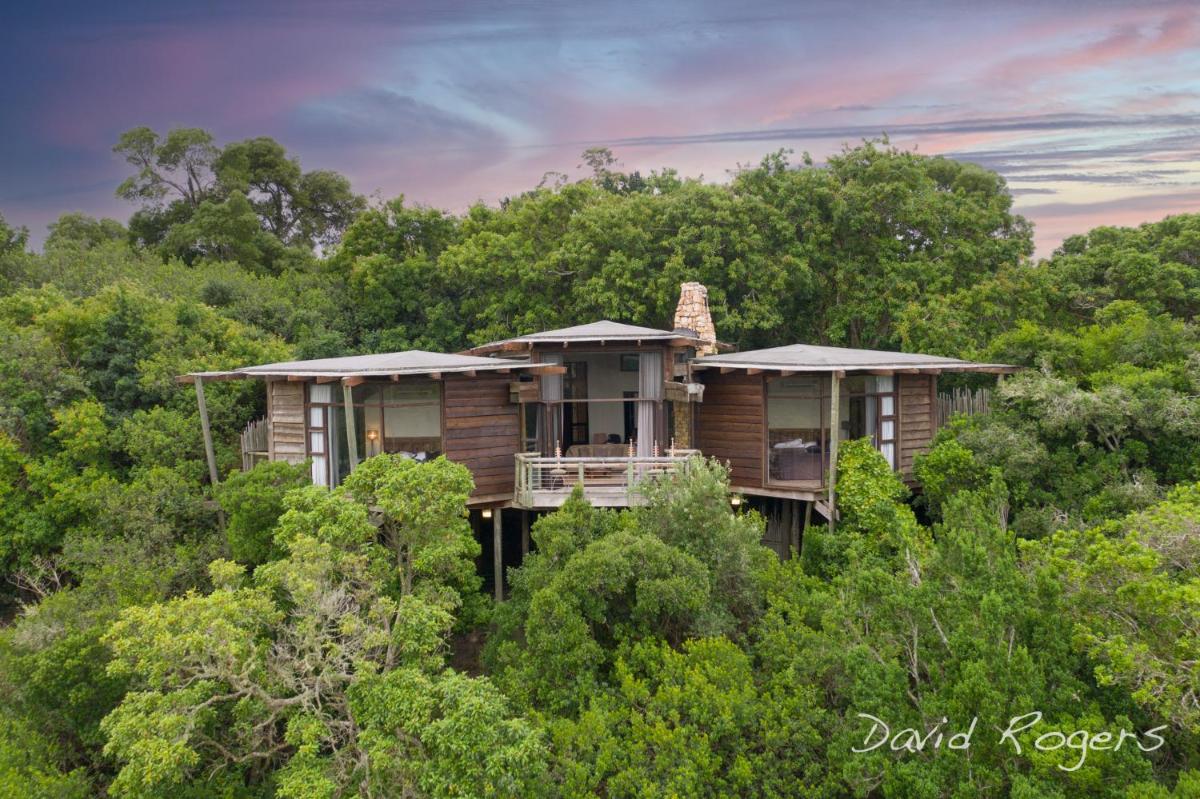 Tsala Treetop Lodge - Hizvo