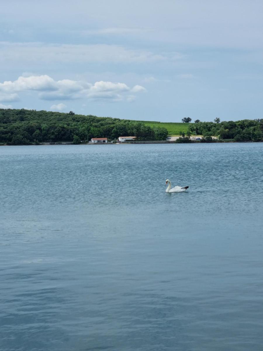 Piccola California - Housity